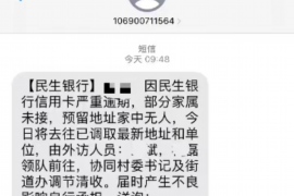 长葛为什么选择专业追讨公司来处理您的债务纠纷？